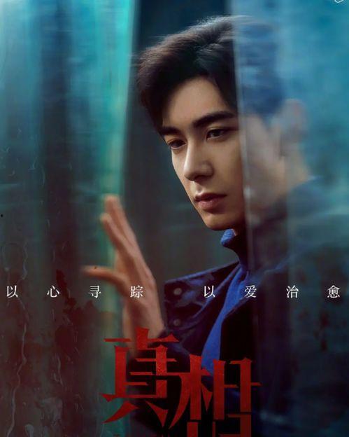 电视剧真相在线观看,揭秘剧情背后的秘密