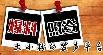 有没有新闻爆料的地方啊,探寻信息源头的秘密角落