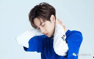 娱乐圈爆料刘宇宁刘诗诗,刘宇宁与刘诗诗的神秘恋情浮出水面