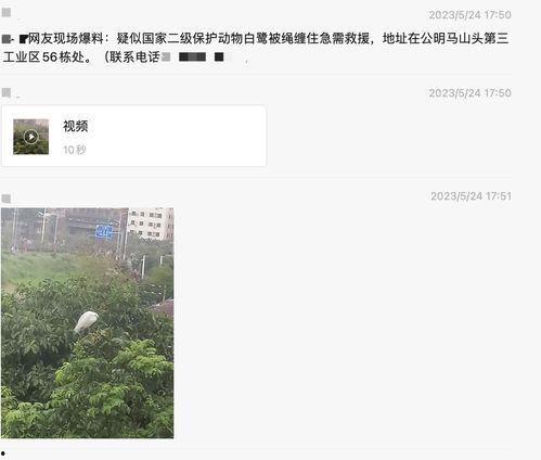 深圳新闻爆料人是谁,是谁勇敢揭露真相？