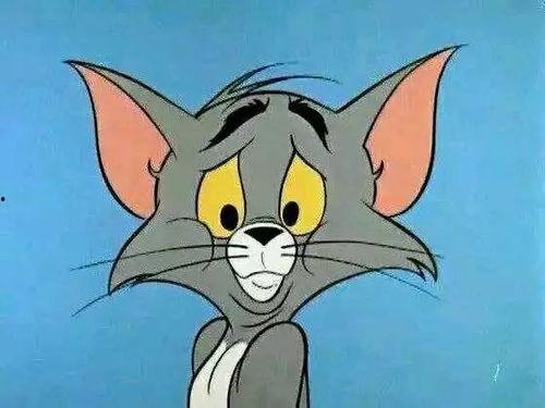 爆料猫玩老鼠视频下载,下载背后的趣味与争议