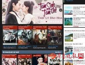 越南电视在线观看,畅享东南亚风情