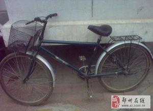 郑州自行车最新爆料视频,揭秘城市绿色出行新潮流