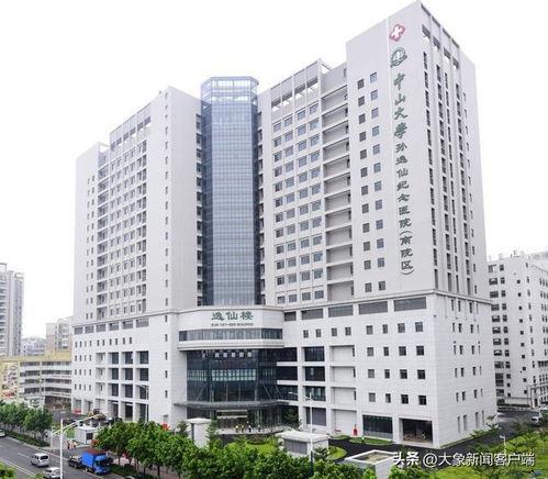 中山二院事件爆料最新,真相与反思交织的医学伦理风暴