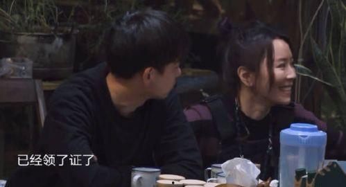 黄磊圈内人爆料视频大全,揭秘娱乐圈不为人知的一面