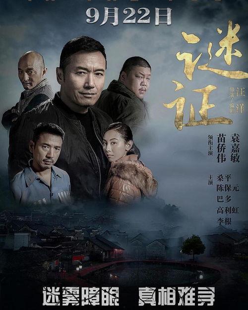 谜证电影在线观看,揭秘真相的在线观影之旅