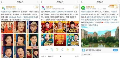 爆料永兴老四视频播放网站,网络热传视频背后的真相与争议