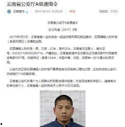 张林最新爆料消息视频,揭秘事件背后惊人真相