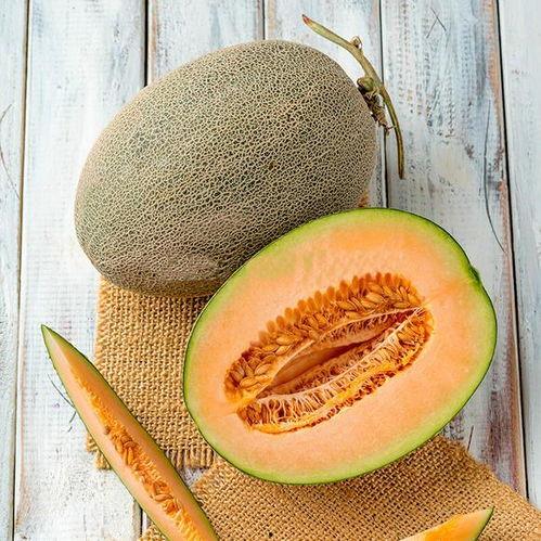 甜瓜爆料炮台视频下载大全