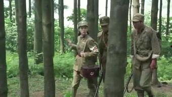 老杨最新爆料视频大全在线观看,视频大全在线观看，精彩内容抢先看