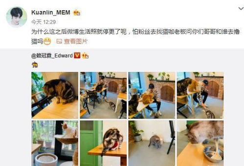 爆料赖冠霖女友是谁啊视频,女友身份引发热议