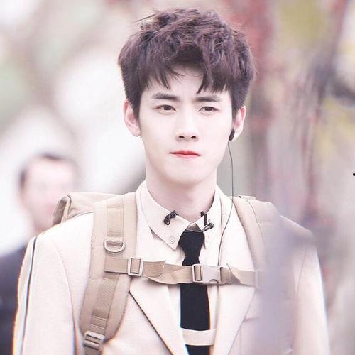 关于任豪的爆料视频播放,揭秘娱乐圈背后的真相