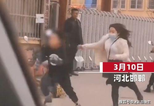 河北爆料小男孩是谁呀视频,视频背后的故事与真相