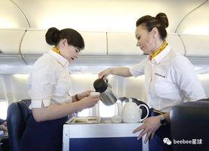国航空姐最新爆料信息,揭秘航空业不为人知的秘密