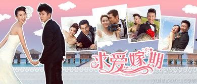 求爱嫁期在线观看,揭秘求爱嫁期在线观看背后的甜蜜故事